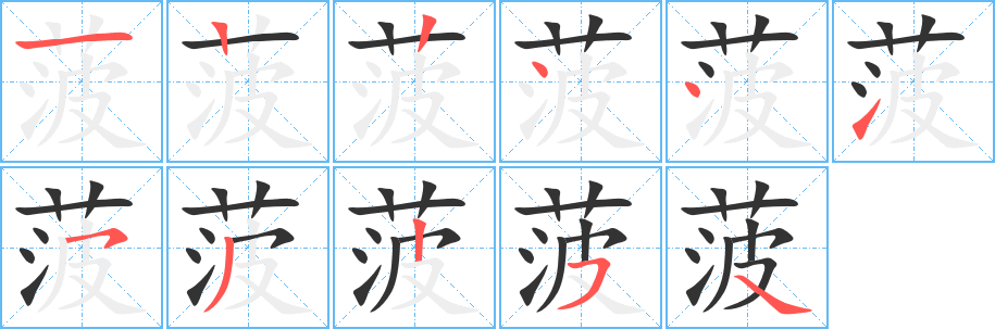 菠字的筆順分步演示