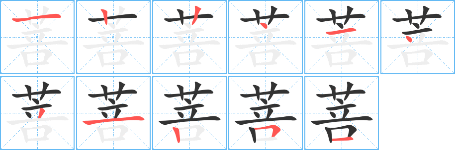 菩字的筆順分步演示