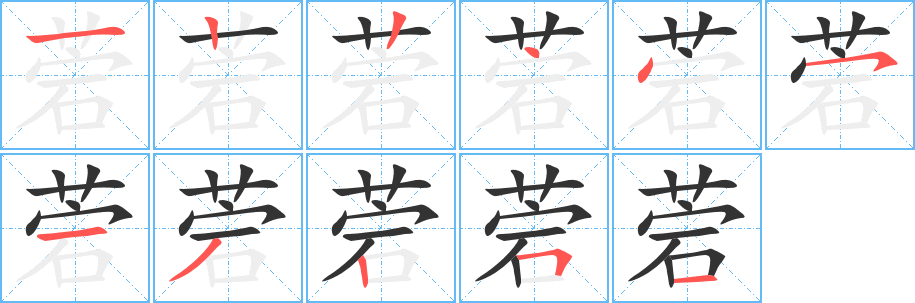 菪字的筆順分步演示