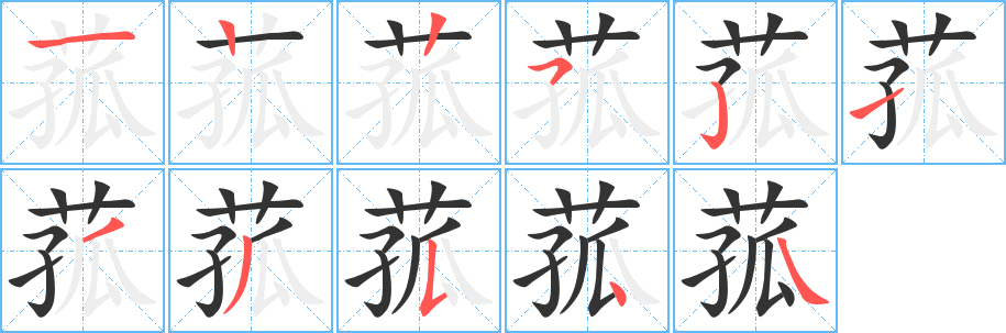 菰字的筆順分步演示