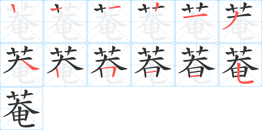 菴字的筆順分步演示