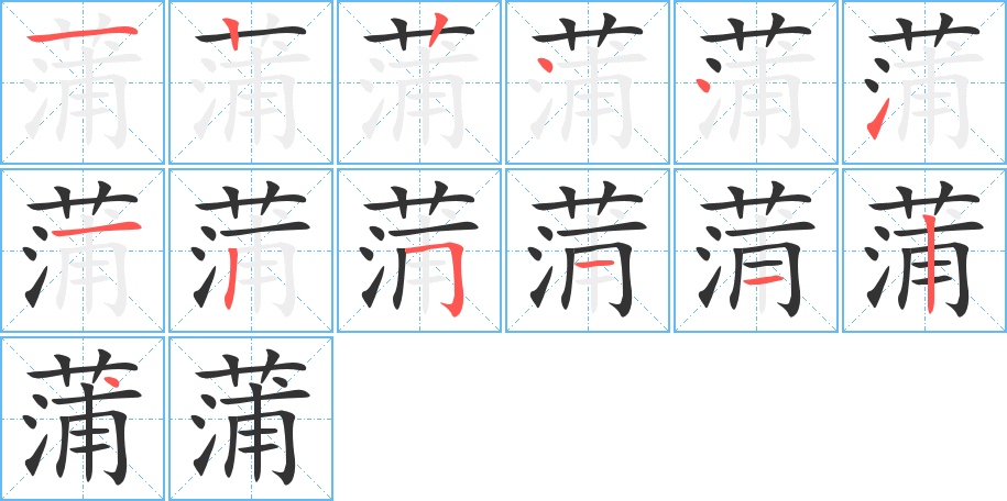 蒲字的筆順分步演示