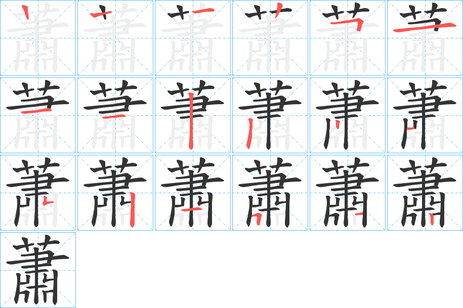 蕭字的筆順分步演示