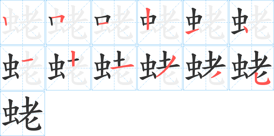 蛯字的筆順分步演示