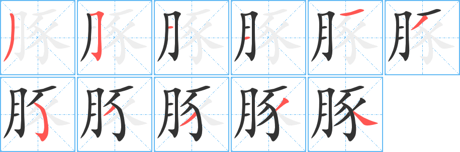 豚字的筆順分步演示