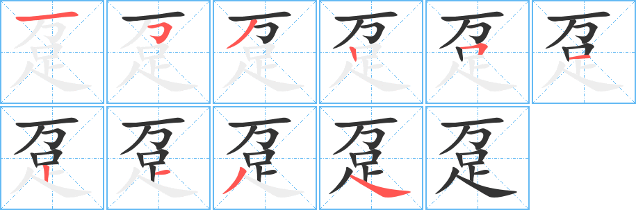 躉字的筆順分步演示