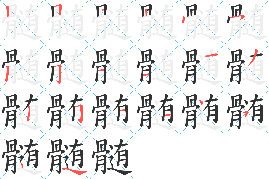 髄字的筆順分步演示