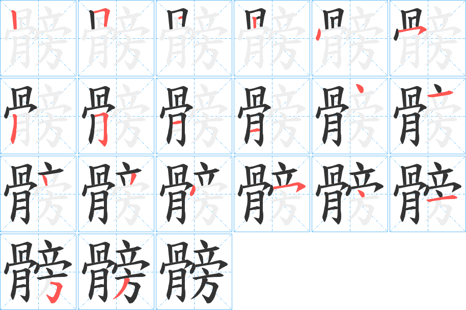 髈字的筆順分步演示