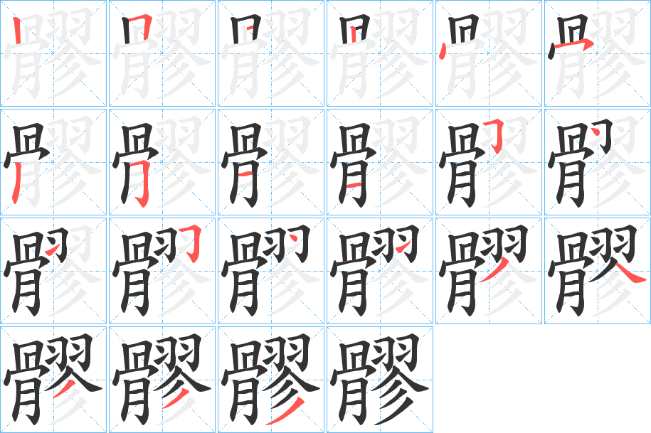 髎字的筆順分步演示