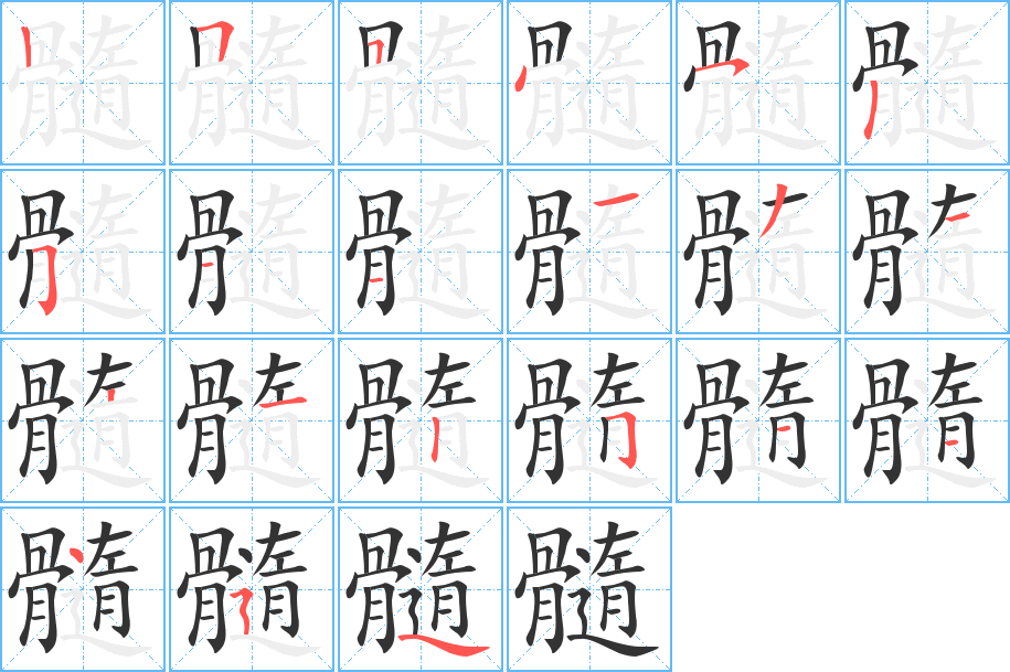 髓字的筆順分步演示