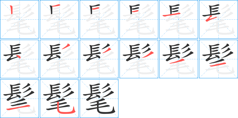 髦字的筆順分步演示