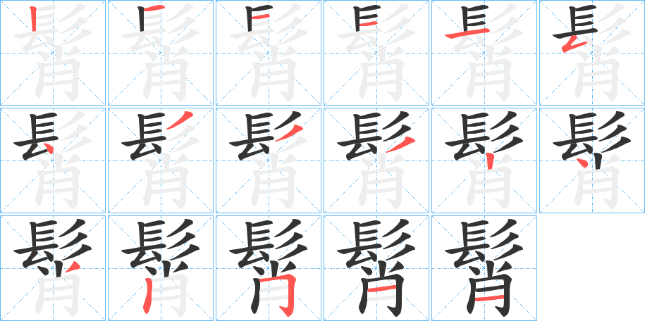 髾字的筆順分步演示