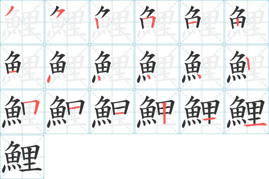 鯉字的筆順分步演示