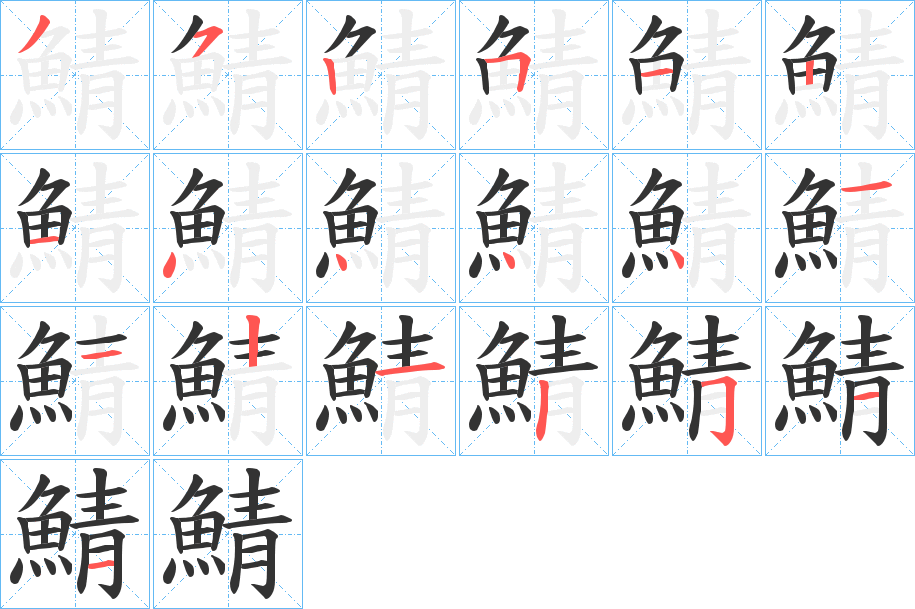 鯖字的筆順分步演示