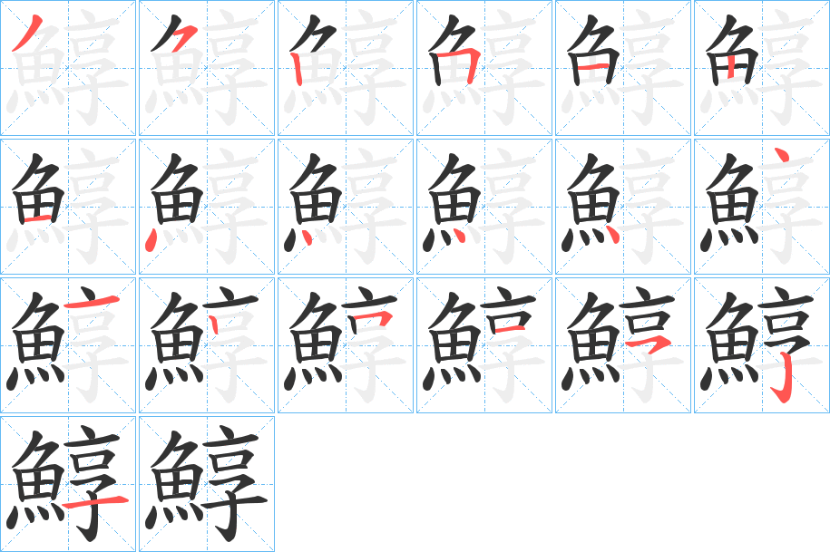 鯙字的筆順分步演示