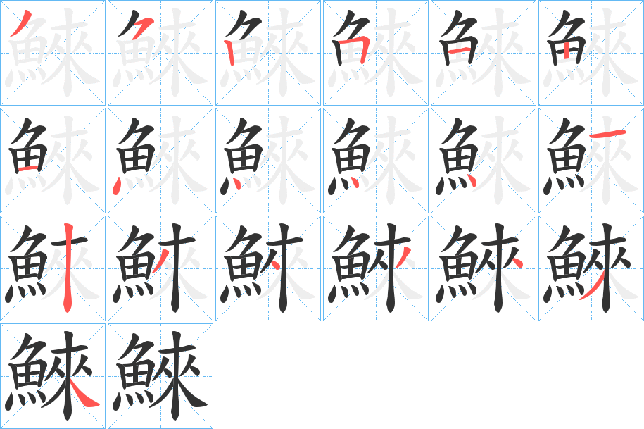 鯠字的筆順分步演示