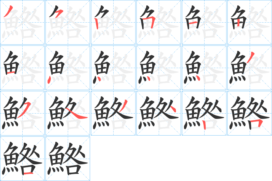 鯦字的筆順分步演示