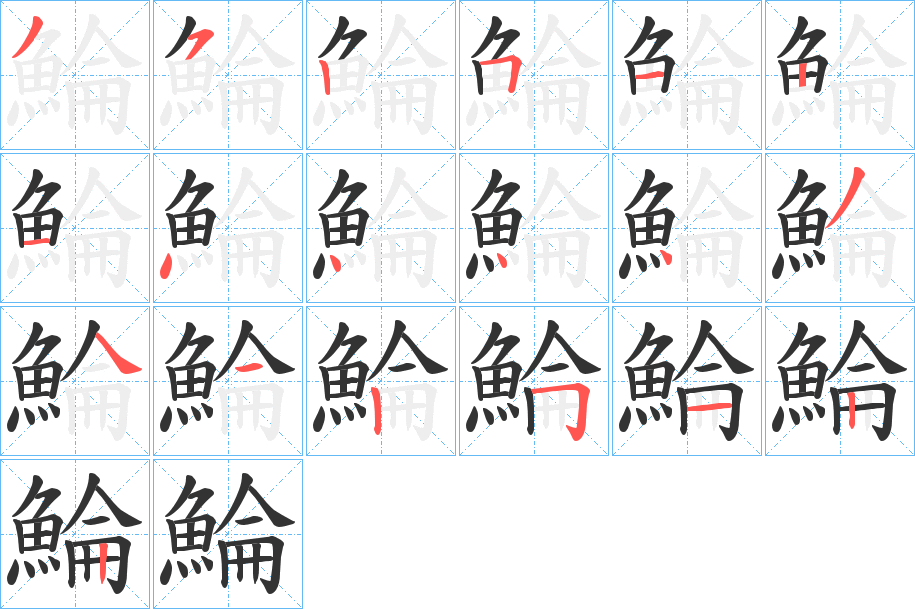 鯩字的筆順分步演示