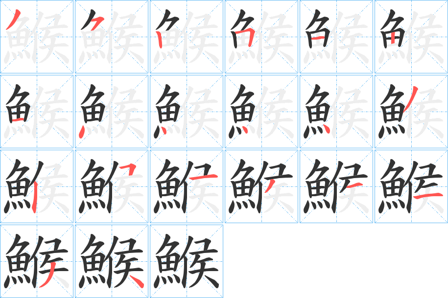 鯸字的筆順分步演示