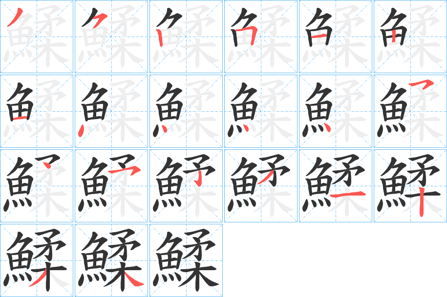 鰇字的筆順分步演示