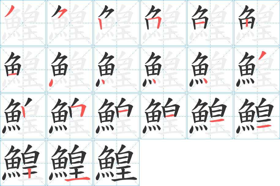 鰉字的筆順分步演示