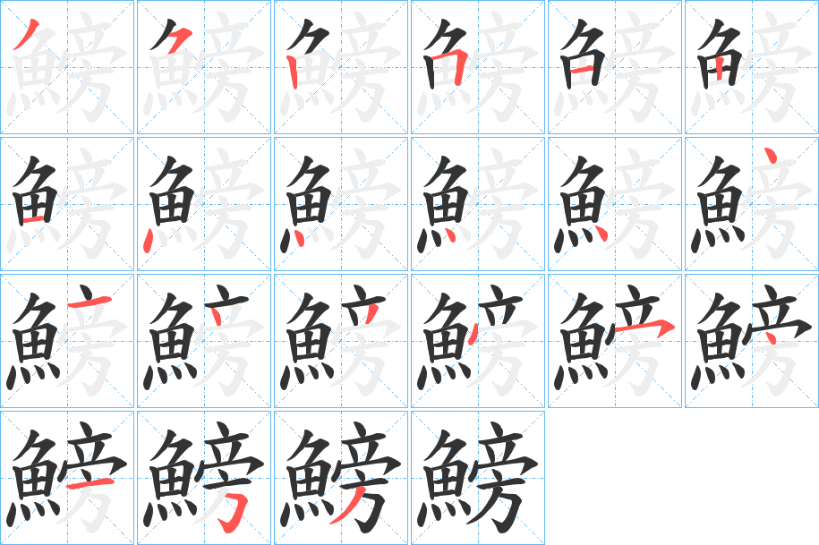 鰟字的筆順分步演示