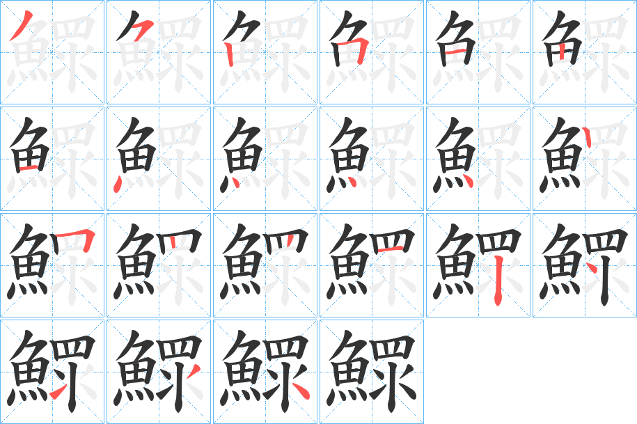 鰥字的筆順分步演示