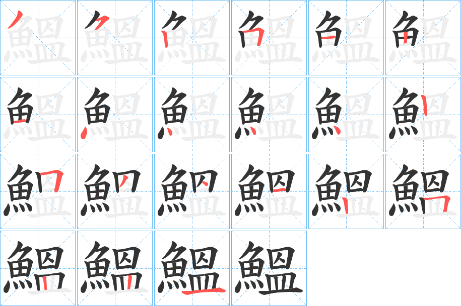 鰮字的筆順分步演示