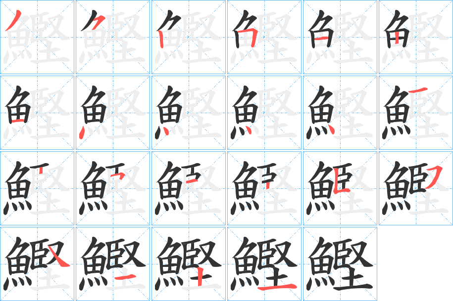 鰹字的筆順分步演示