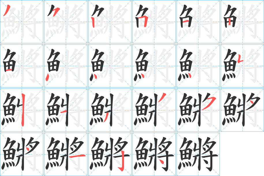 鱂字的筆順分步演示