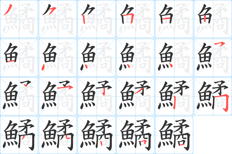 鱊字的筆順分步演示