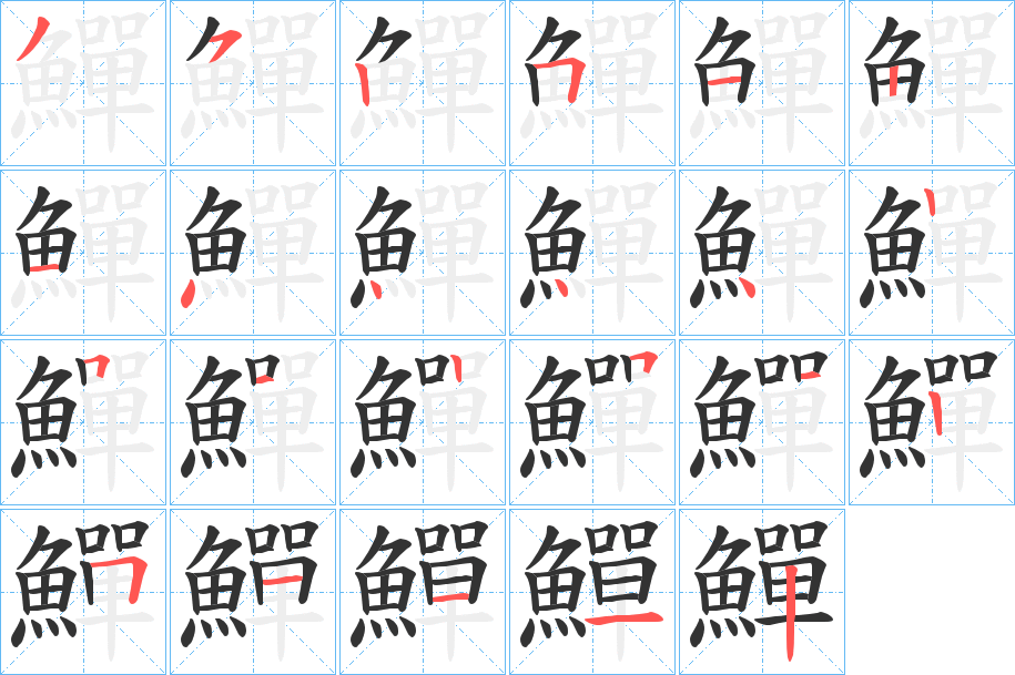 鱓字的筆順分步演示