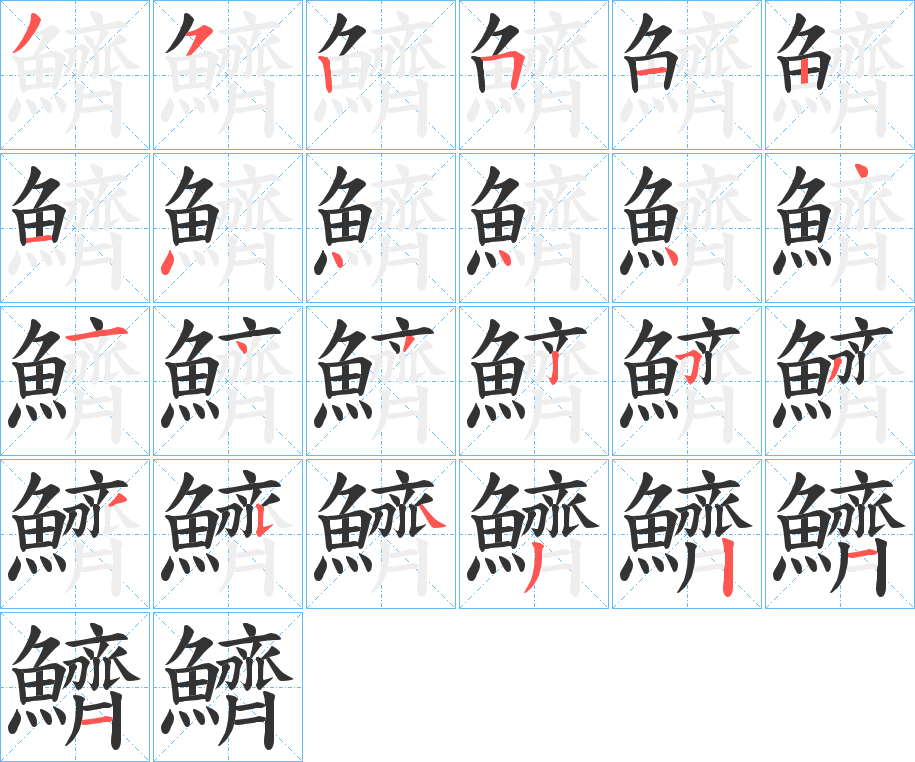 鱭字的筆順分步演示