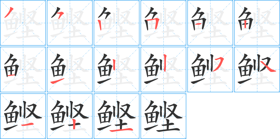 鰹字的筆順分步演示