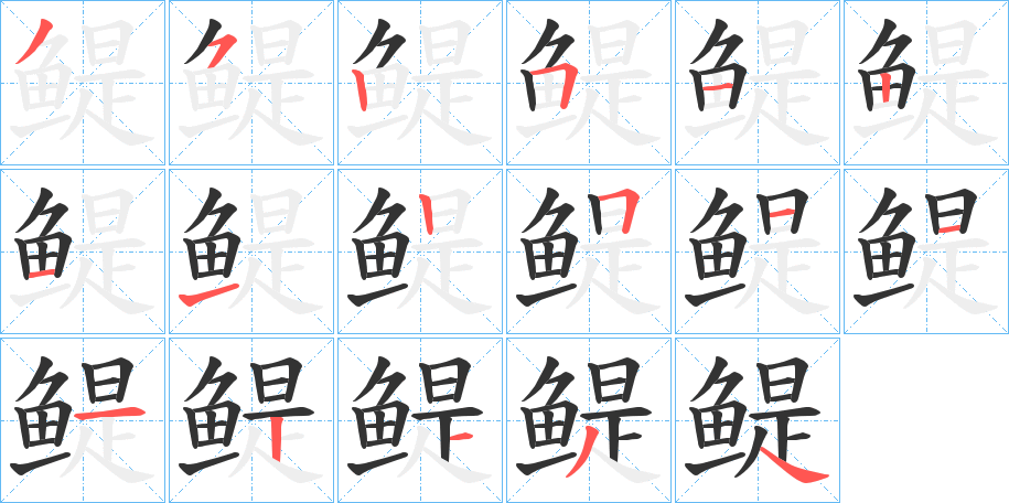 鳀字的筆順分步演示