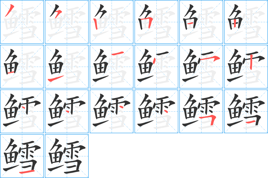 鱈字的筆順分步演示