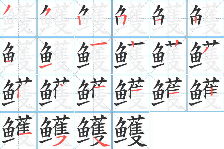 鳠字的筆順分步演示