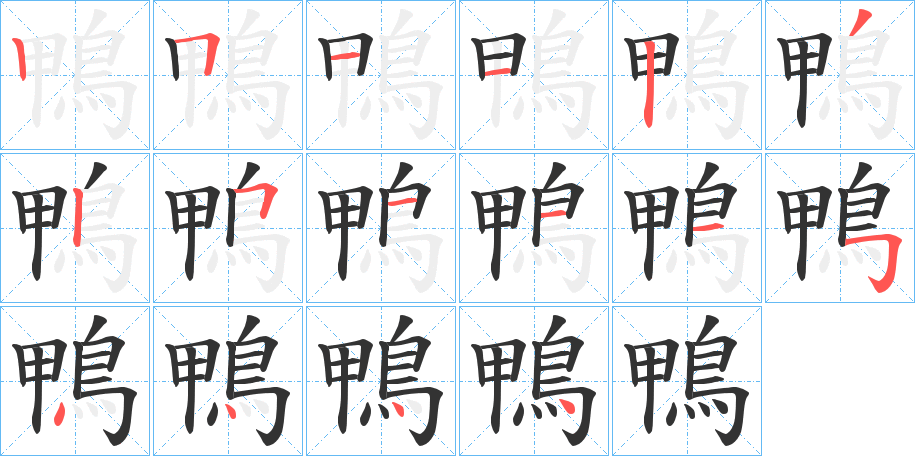 鴨字的筆順分步演示