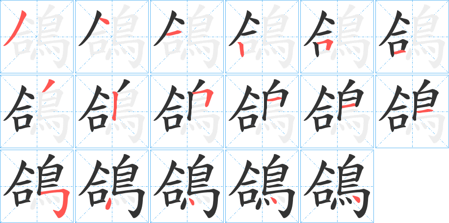 鴿字的筆順分步演示