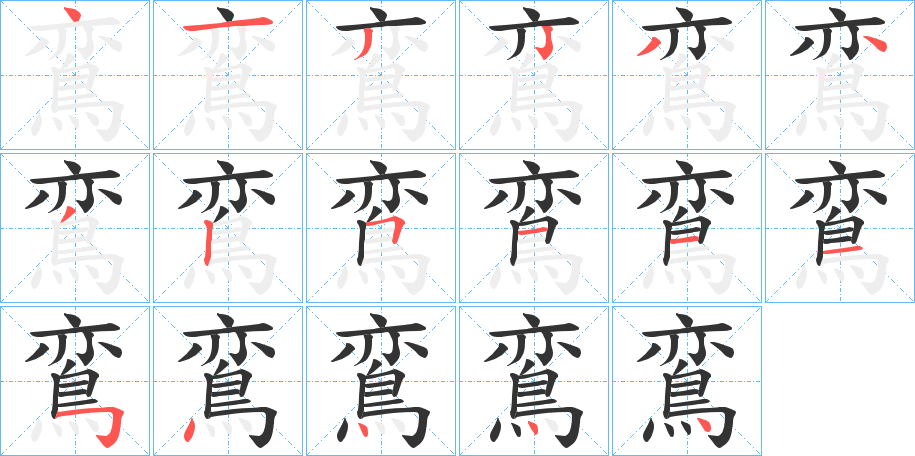 鵉字的筆順分步演示