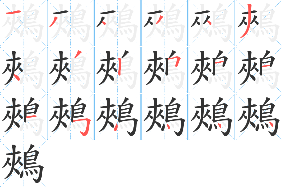 鵊字的筆順分步演示