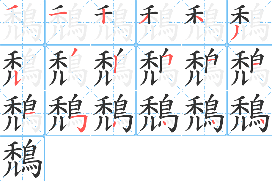 鵚字的筆順分步演示