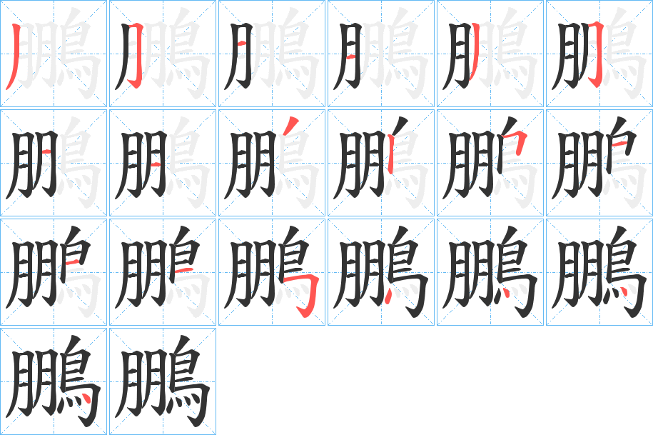 鵬字的筆順分步演示