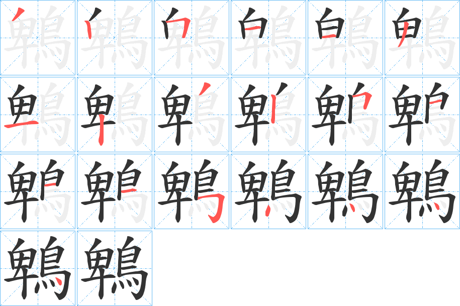 鵯字的筆順分步演示