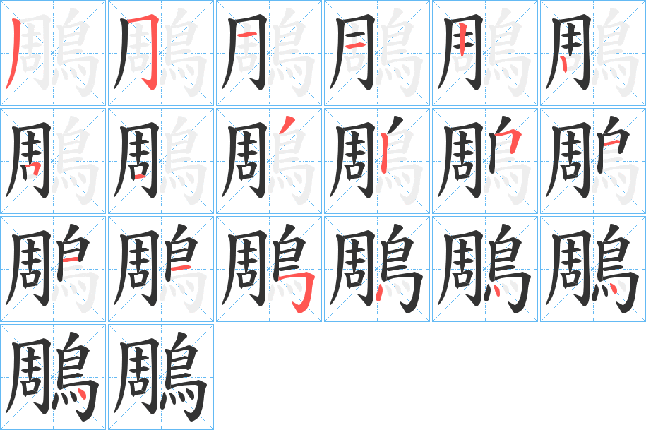 鵰字的筆順分步演示