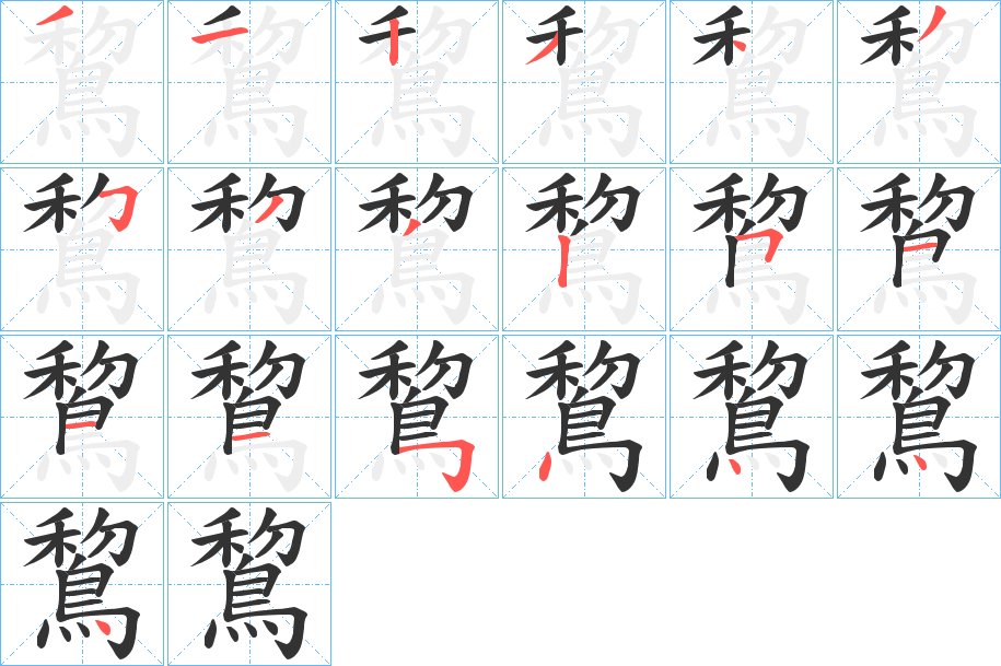 鵹字的筆順分步演示