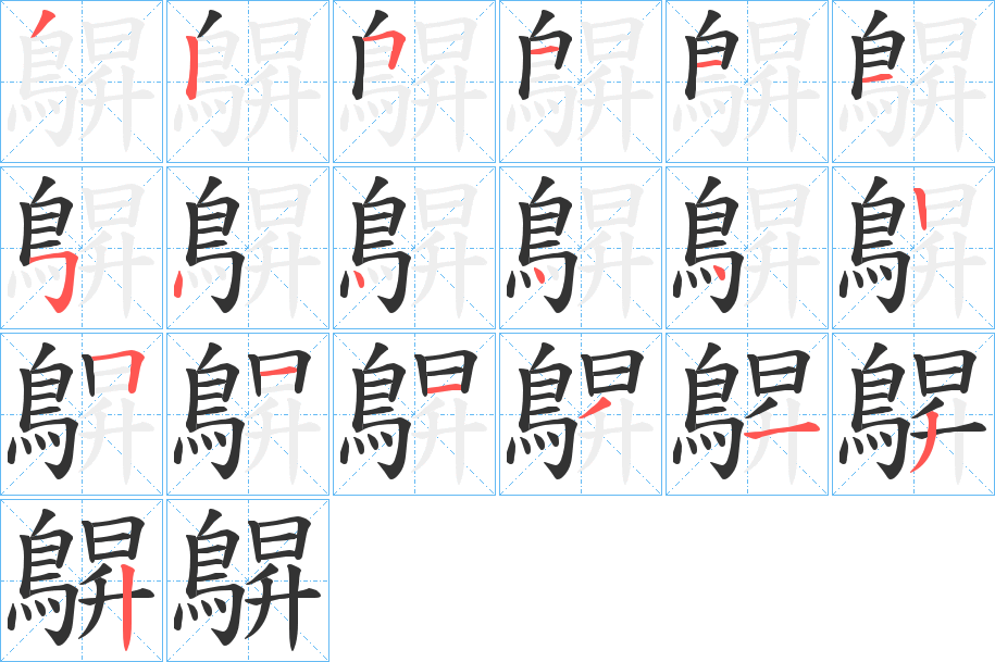 鵿字的筆順分步演示