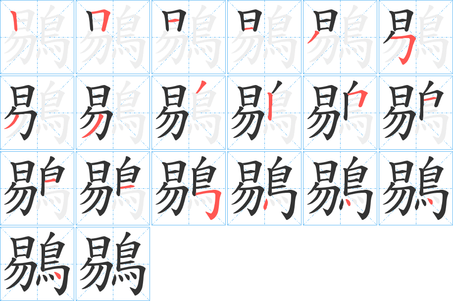 鶍字的筆順分步演示