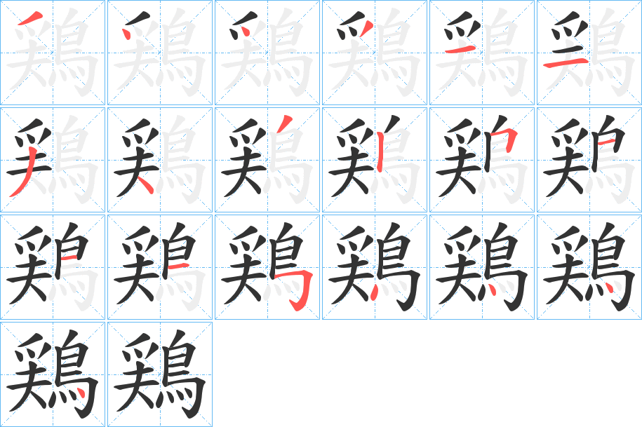 鶏字的筆順分步演示