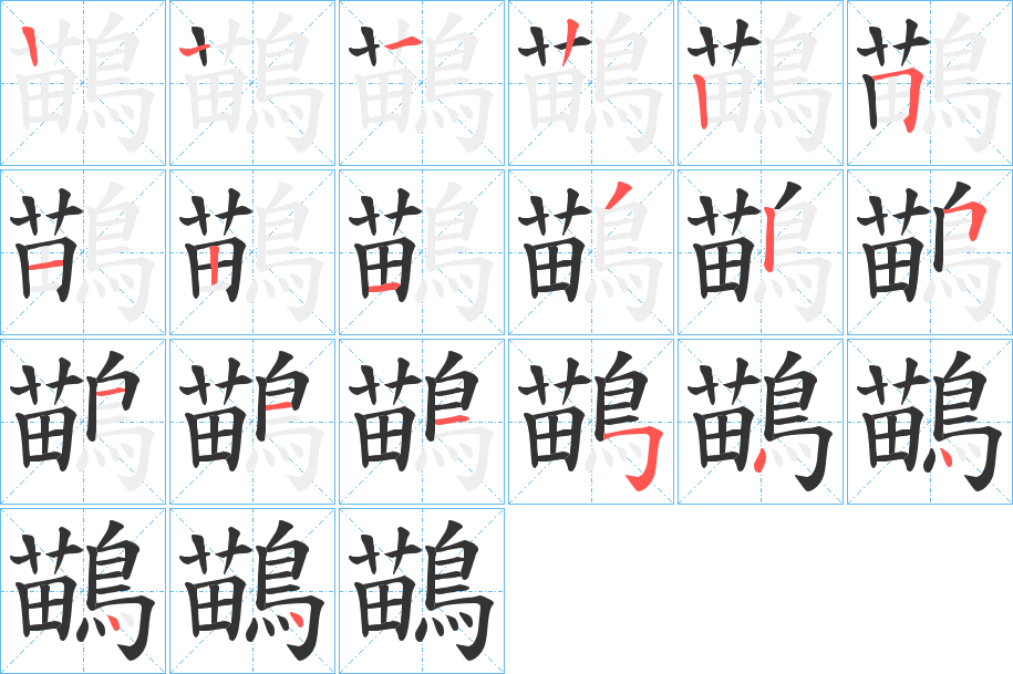 鶓字的筆順分步演示